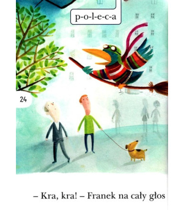 Franek i miotła motorowa - Czytam Sobie - Poziom 1