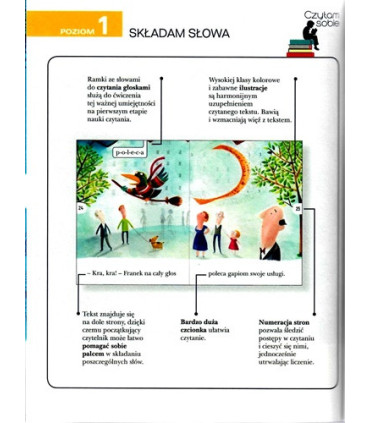 Franek i miotła motorowa - Czytam Sobie