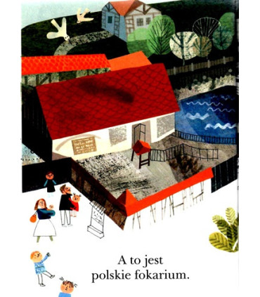 Figle w fokarium, O fokach z Helu - Czytam Sobie - Poziom 1