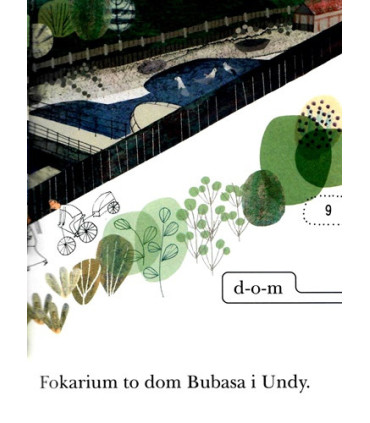 Figle w fokarium, O fokach z Helu - Czytam Sobie - Poziom 1