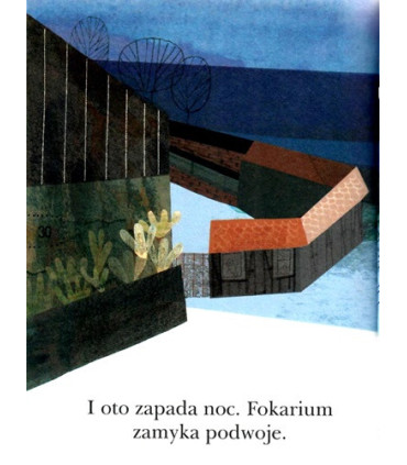 Figle w fokarium, O fokach z Helu - Czytam Sobie - Poziom 1