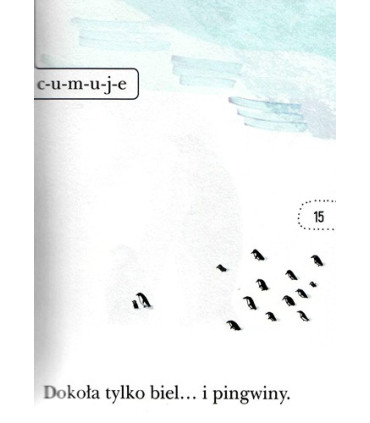 Wyprawa na biegun. O ekspedycji Amundsena - Czytam Sobie - Poziom 1