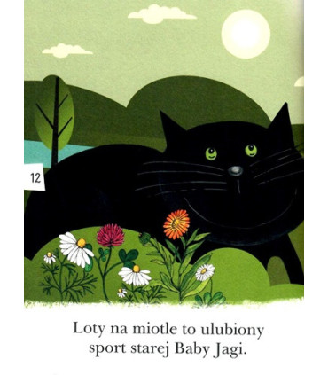 Baba Jaga na deskorolce - Czytam sobie - Poziom 1