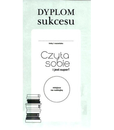 Baba Jaga w Ameryce - Czytam sobie - Poziom 2