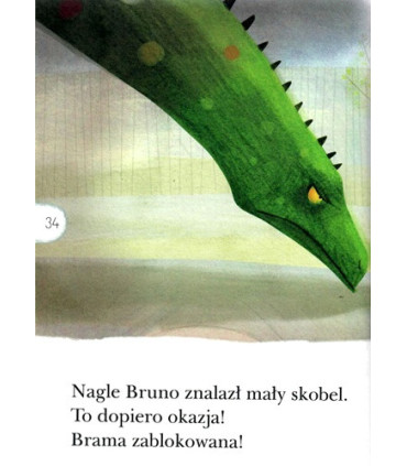 Oko w oko z diplodokiem - Czytam sobie - Poziom 2