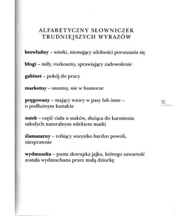 Rok z kocicą Izabelą - Czytam sobie - Poziom 3