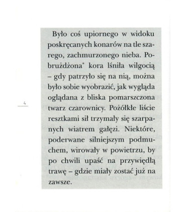 Kasztan, tapczan, tralala - Czytam sobie - Poziom 3