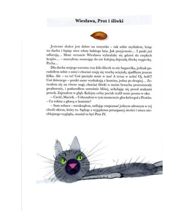 Duch starej kamienicy