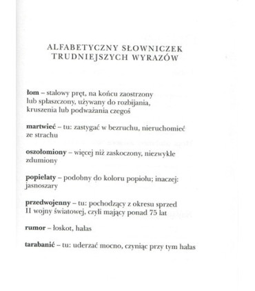 Kto zamawiał koszmarną przygodę - Czytam sobie - Poziom 3