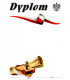 Dyplom uniwersalny - A-595