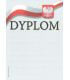 Dyplom uniwersalny S-629