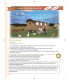 Sercem w stronę ojczyzny, kl. 6, podręcznik połączony z ćwiczeniami