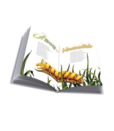 Gallery of fairy tales - to be read through images