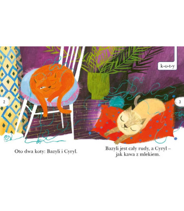 Koty i kotki. Czytam sobie. Poziom 1