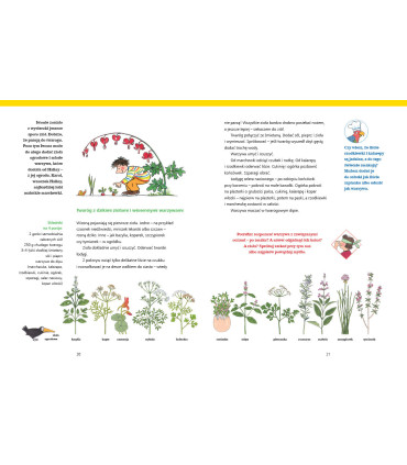Wielkie gotowanie na ulicy Czereśniowej