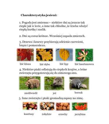 Jestem pierwsza klasa! Podręcznik