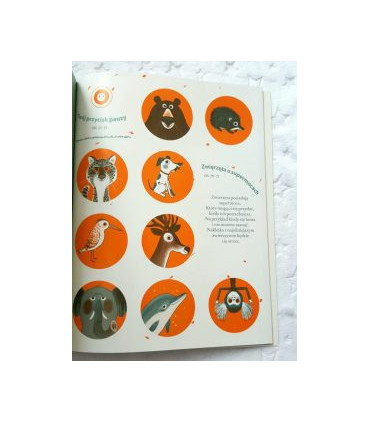 Moja supermoc. Uważność i spokój żabki