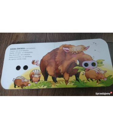 Akademia mądrego dziecka. Zwierzęta i zwierzątka