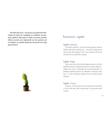 Tajemnicze znikniecie detektywa Pozytywki