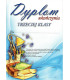 Dyplom ukończenia klasy 3 A-528
