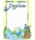 Dyplom uniwersalny S-681