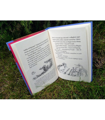 Fantastyczny Pan Lis