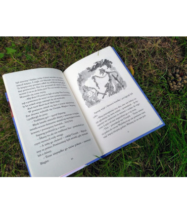 Fantastyczny Pan Lis