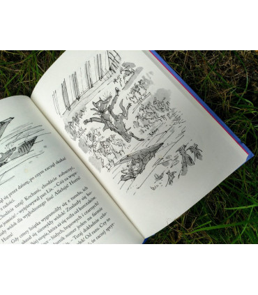 Fantastyczny Pan Lis