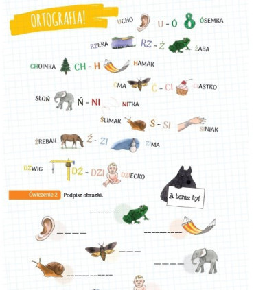 Start HOP. Język polski dla dzieci A1 z nagraniami MP3