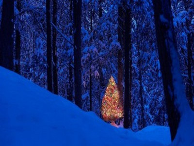 Why is it worth buying a book for children for the holidays?